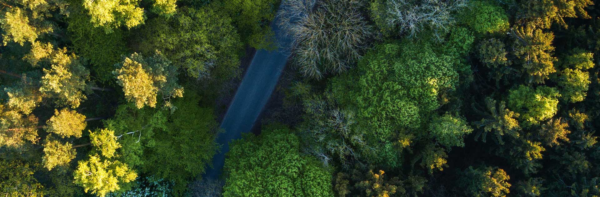 ����֮��hy590(�й�)���¹ٷ���վ