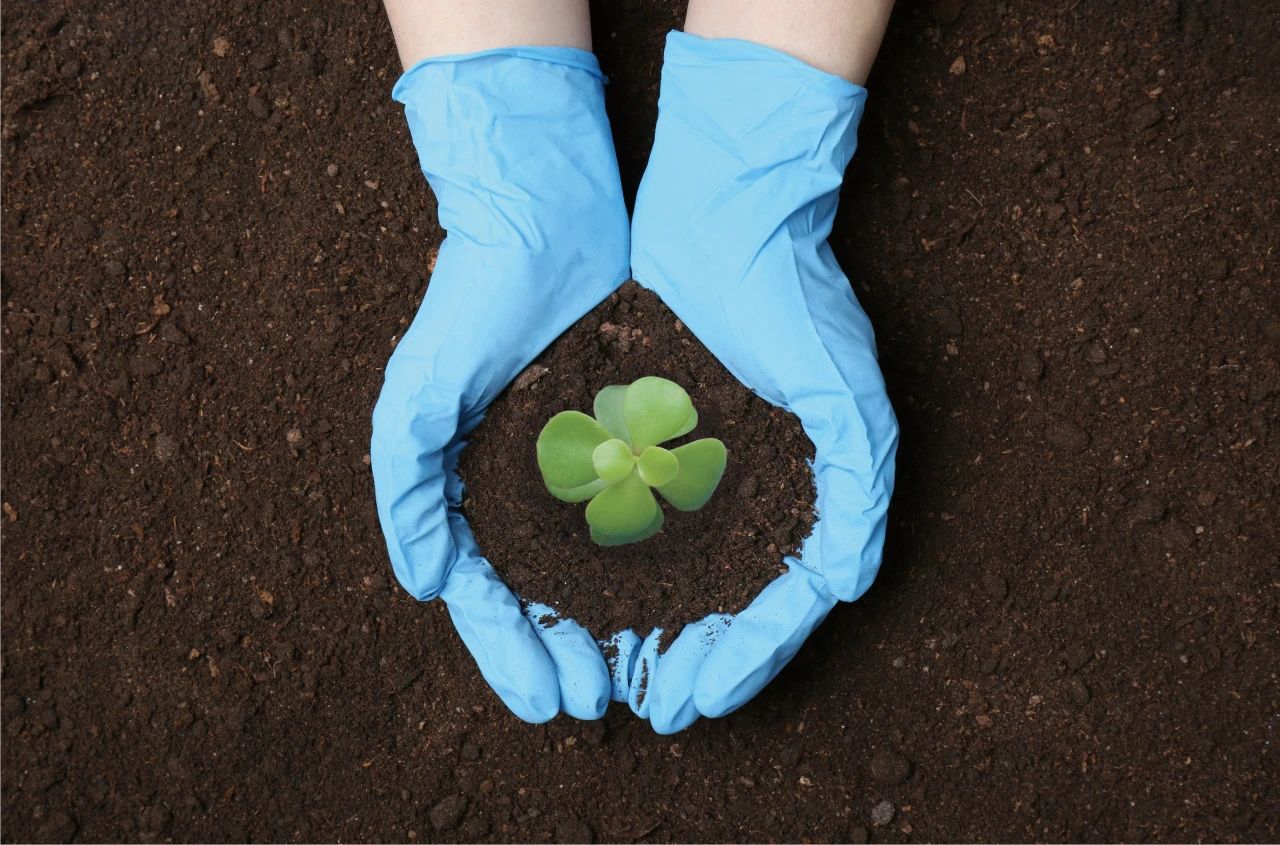 ����֮��hy590(�й�)���¹ٷ���վ