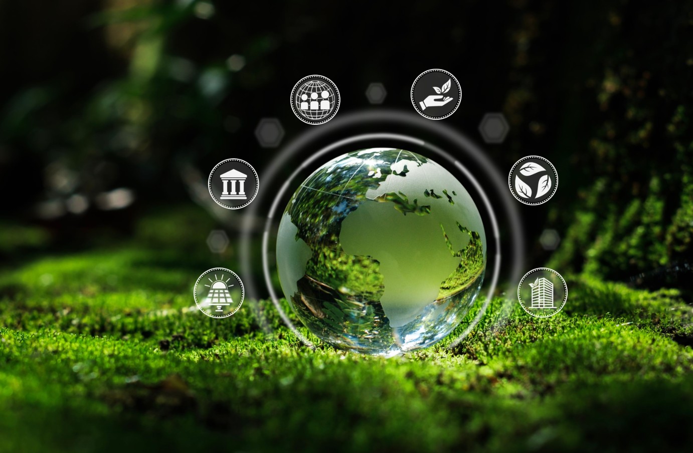 ����֮��hy590(�й�)���¹ٷ���վ